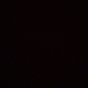 Meet your Posher, Toni